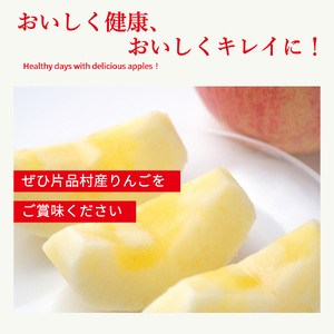 はるか りんご 約3kg