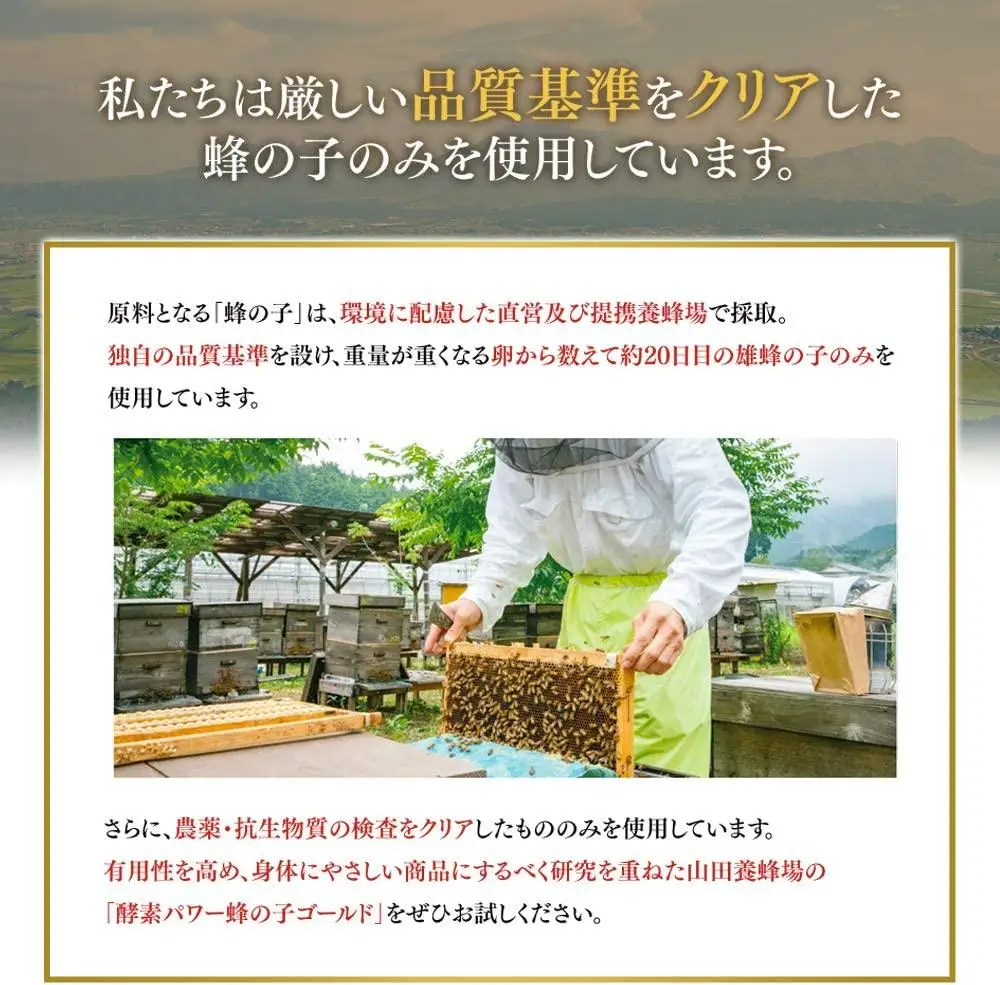 酵素パワー蜂の子ゴールド（01108）【006-a093】【山田養蜂場】