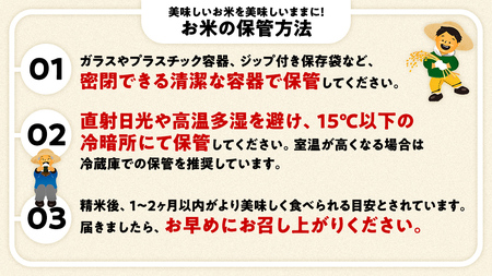 ＼ 新米先行予約 ／ 《 10月下期出荷 》 コシヒカリ 5kg 令和7年産精米 【 数量限定 】茨城県つくばみらい市産