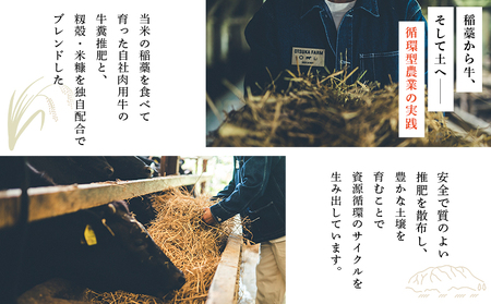 ＜令和8年産 岩瀬川清流米 コシヒカリ 10kg＞ 10キロ こしひかり お米 コメ こめ 白米 精米 ご飯 穀物 鮮度 特産品 愛媛県産 西予市産 宇和町産 OTSUKAFARM 愛媛県 西予市 【常温】『2026年9月下旬から順次出荷予定』UOF0003