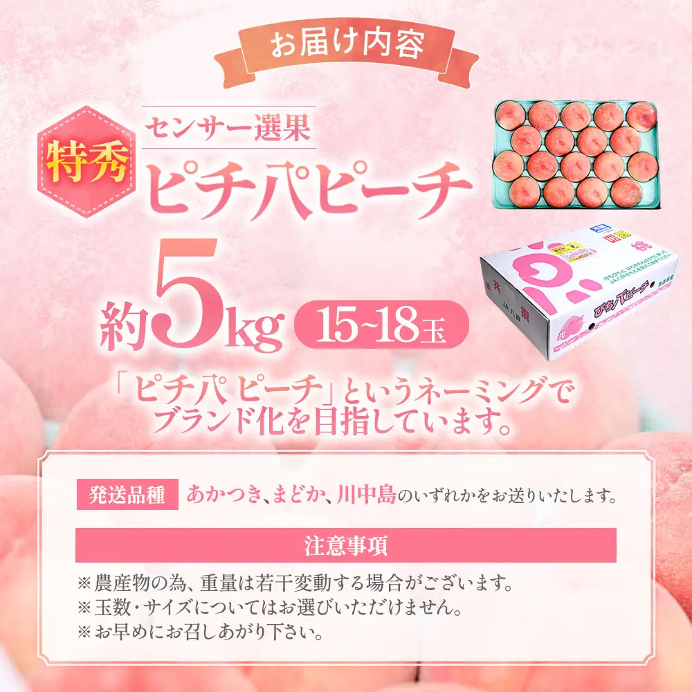 【先行予約】 青森県産桃 約5kg ぴちパ ピーチ【8月中旬～9月上旬発送】もも 桃