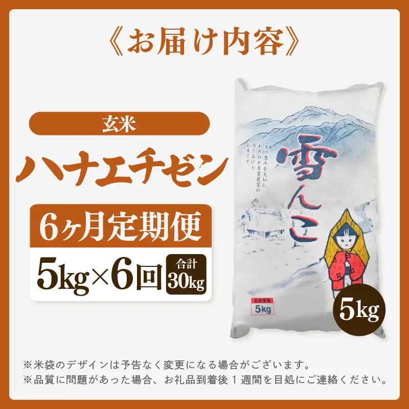 【先行予約】【令和8年産・新米】定期便 ≪6ヶ月連続お届け≫ ハナエチゼン 5kg × 6回（計30kg）【玄米】【2026年10月中旬以降順次発送】 [e26-f001_02]