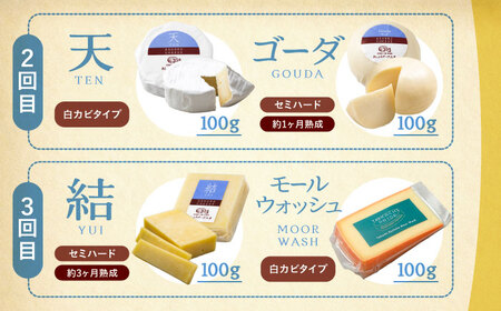 【全3回定期便】 北海道チーズ 7種 　《足寄町》【合同会社あしょろチーズ工房】 [BEAU010]