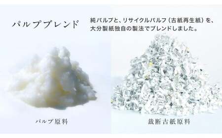 【隔月3回定期便】ふんわりやさしい長さ2倍巻き 50ｍダブル 12ロール×4パック 計48ロール トイレットペーパー 日用品 日用雑貨 紙 生活必需品 備蓄 災害 防災 まとめ買い 国産 九州 福岡県 北九州市