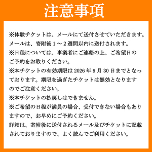 【 体験 】 水あそびパーク 1日チケット ウォータースポーツ ラフティング カヌー 観光 