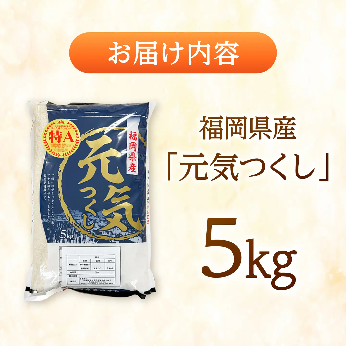 【先行予約】【令和7年産】元気つくし 白米 5kg [BGAA090] 元気つくし