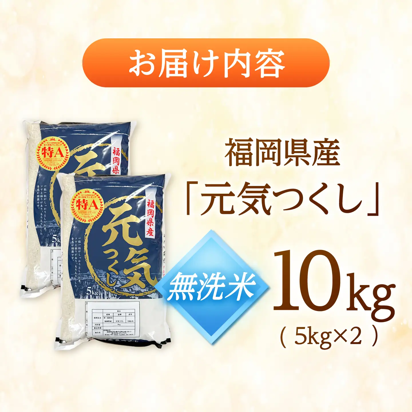 【先行予約】【令和7年産】元気つくし無洗米10kg(5kg×2袋)[BGAA093] 元気つくし