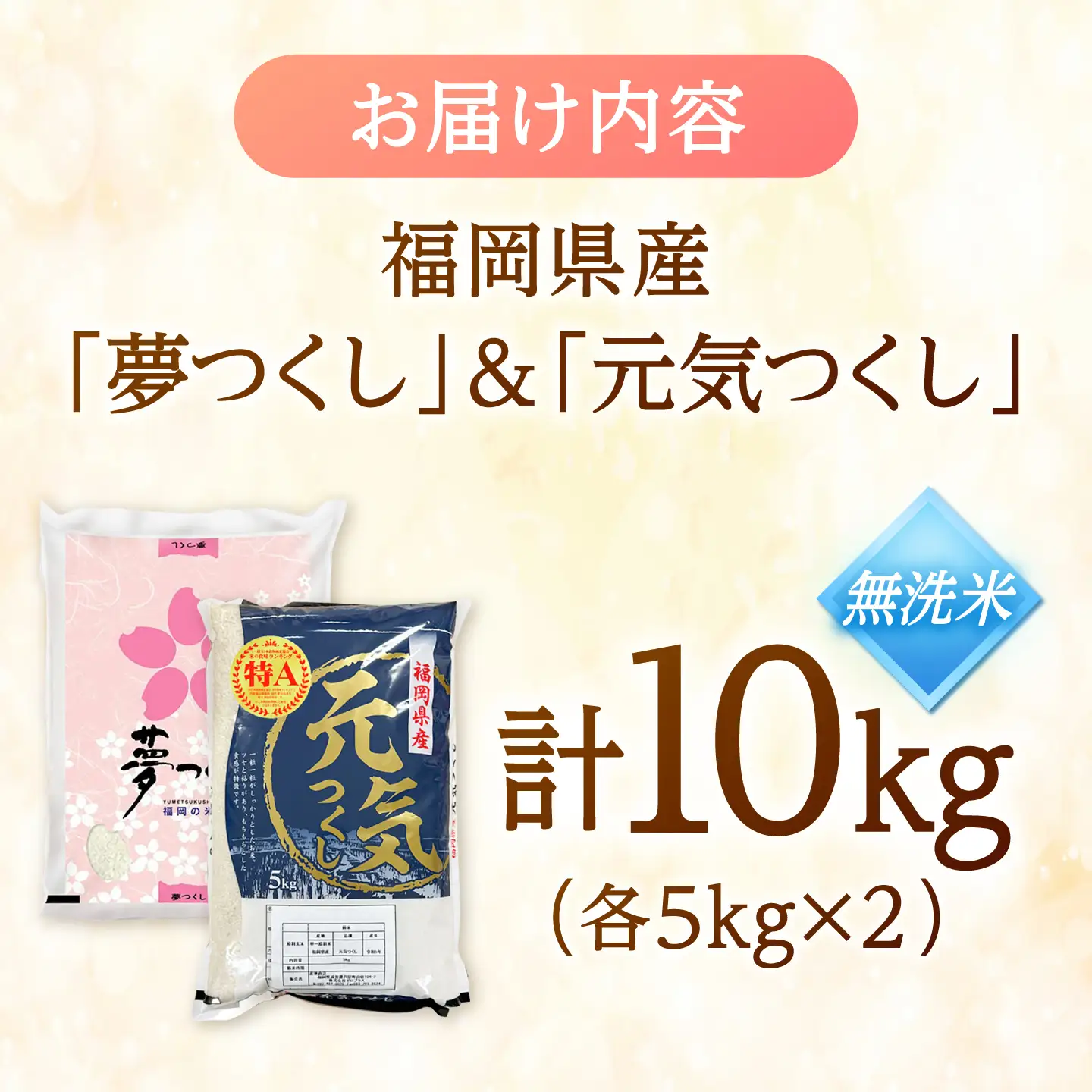 【先行予約】【令和7年産】福岡県産米食べ比べ【無洗米】夢つくしと元気つくしセット 計10kg[BGAA097]白米 食べ比べ 白米 食べ比べ