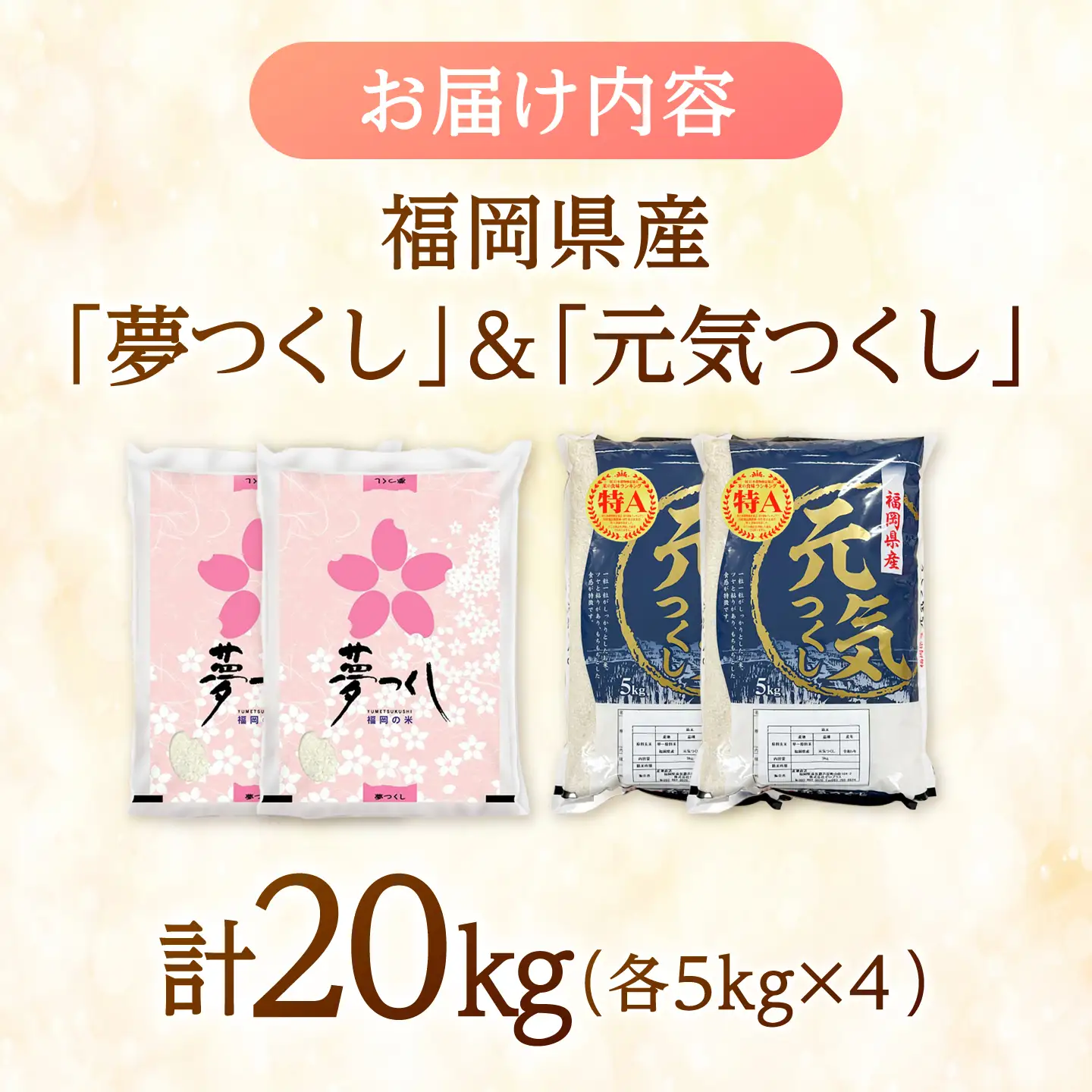 【先行予約】【令和7年産】福岡県産米食べ比べ【白米】夢つくしと元気つくしセット 計20kg[BGAA098]白米 食べ比べ 白米 食べ比べ