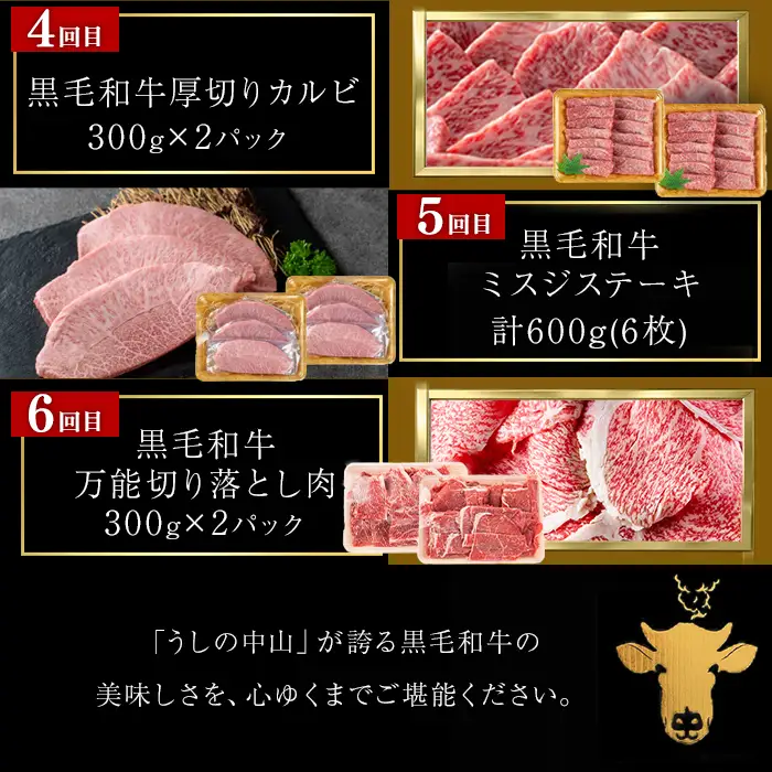 【定期便全6回】＜A4・A5等級＞黒毛和牛堪能〈満足〉定期便（5～6人分）総重量3.9kg 鹿児島県産 黒毛和牛 和牛 肉 牛肉 国産 九州産 鹿児島県産 焼肉 焼き肉 BBQ A4 A5 赤身 切り落とし カルビ お楽しみ 食べ比べ ハンバーグ ミスジ 霜降り ステーキ 5人前 6人前 t0118-002