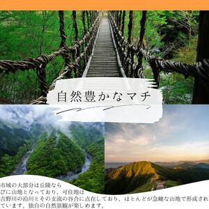ブルーベリー 狩り 体験 チケット1枚 食事券 3000円 祖谷かずら橋 観光 【 観光 】