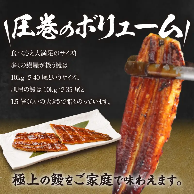 国産特大うなぎ長焼き２尾(約２００ｇ)　合計約４００ｇ（2337）