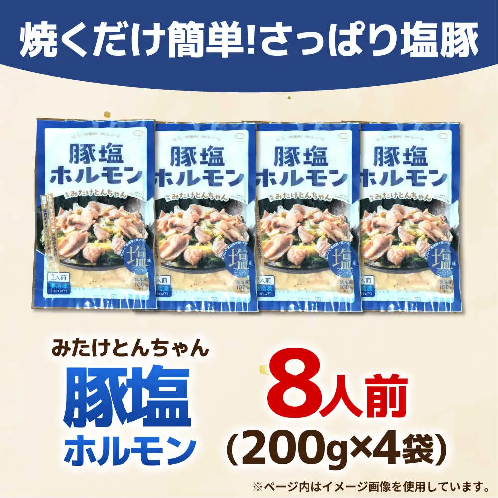 岐阜県産豚もつの鉄板焼き「元祖みたけとんちゃん」豚塩味（8人前）[AVAA039]ホルモン 塩