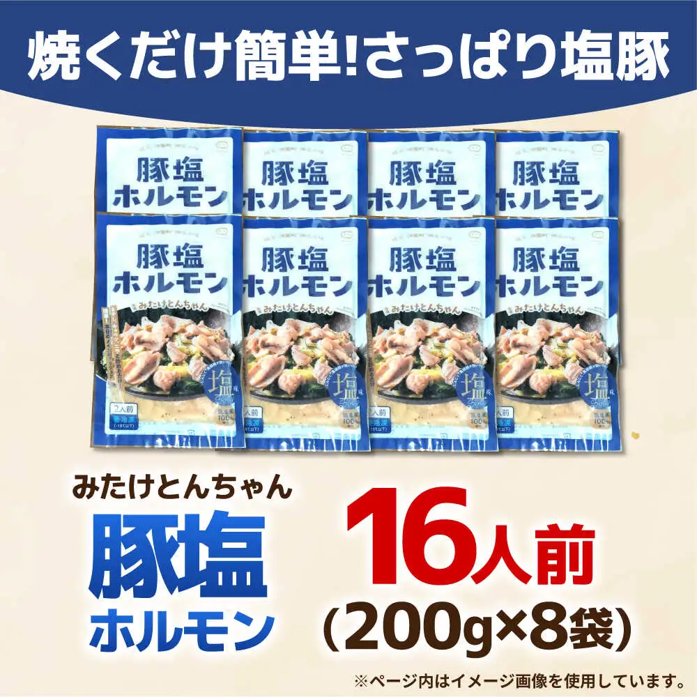 岐阜県産豚もつの鉄板焼き「元祖みたけとんちゃん」豚塩味（16人前）[AVAA046]ホルモン 塩味