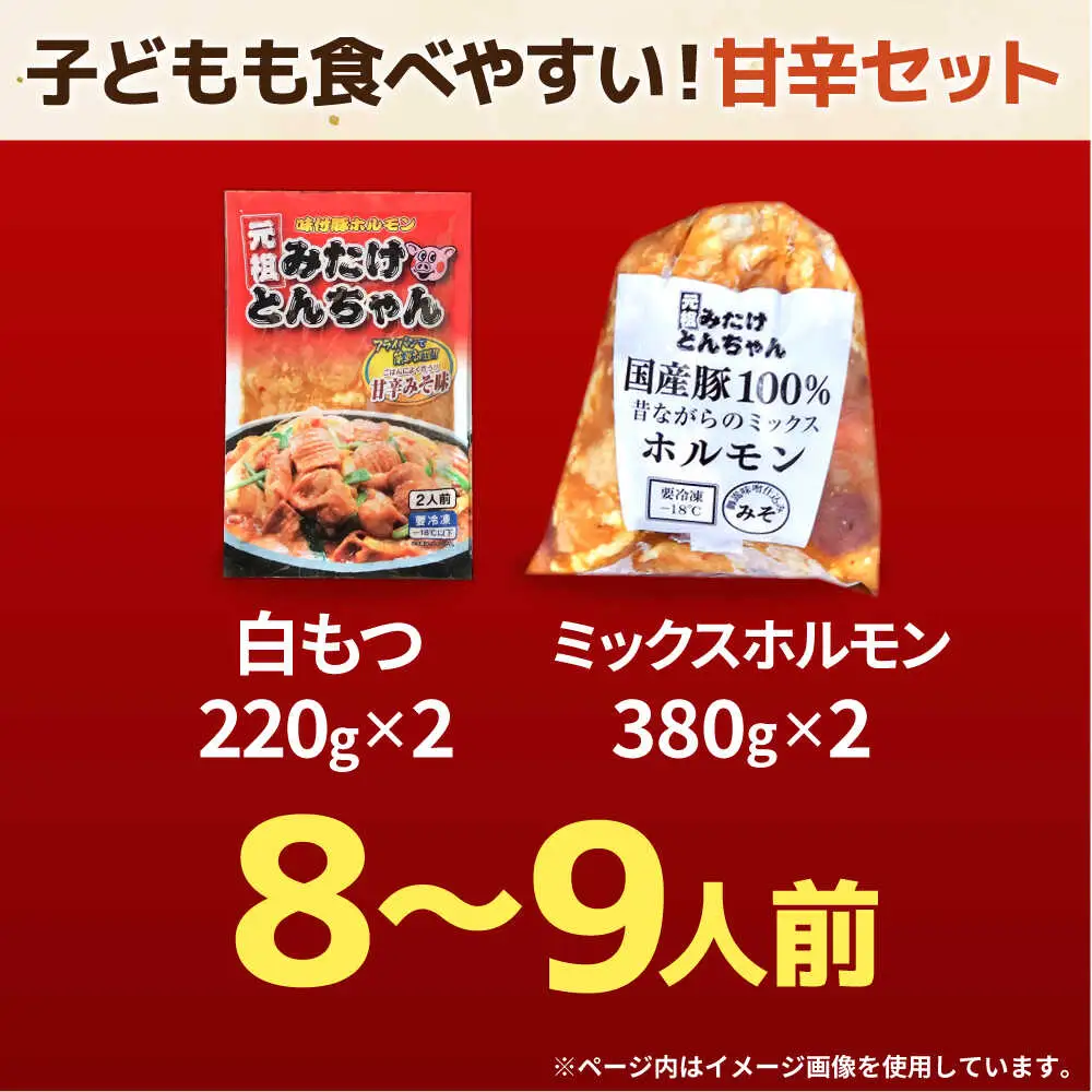 「元祖みたけとんちゃん」 【甘辛セット】 甘辛みそ味×昔ながらのミックスホルモン（8人前）[AVAA053]ホルモン おすすめ
