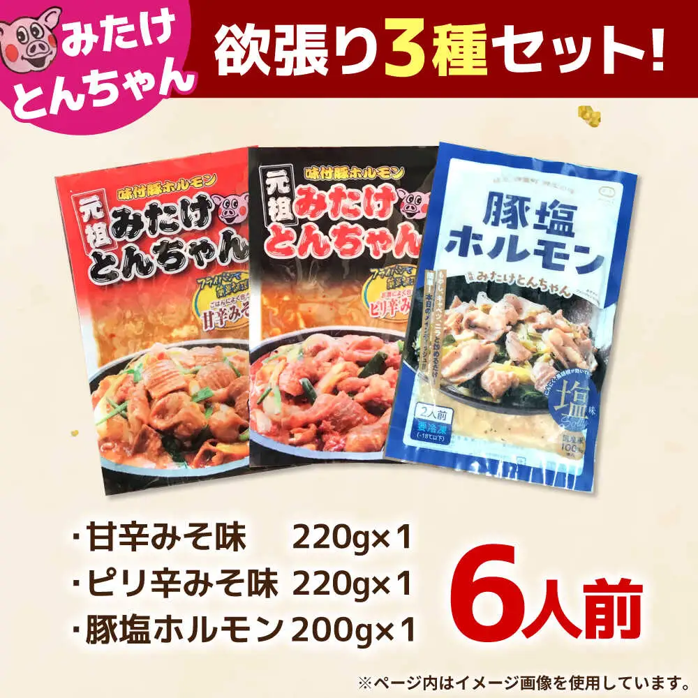 「元祖みたけとんちゃん」 3種セット（6人前）[AVAA056]ホルモン 食べ比べ