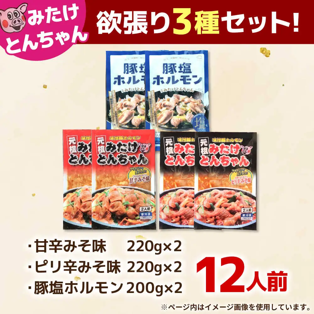 「元祖みたけとんちゃん」 3種セット（12人前）[AVAA057]ホルモン 食べ比べ