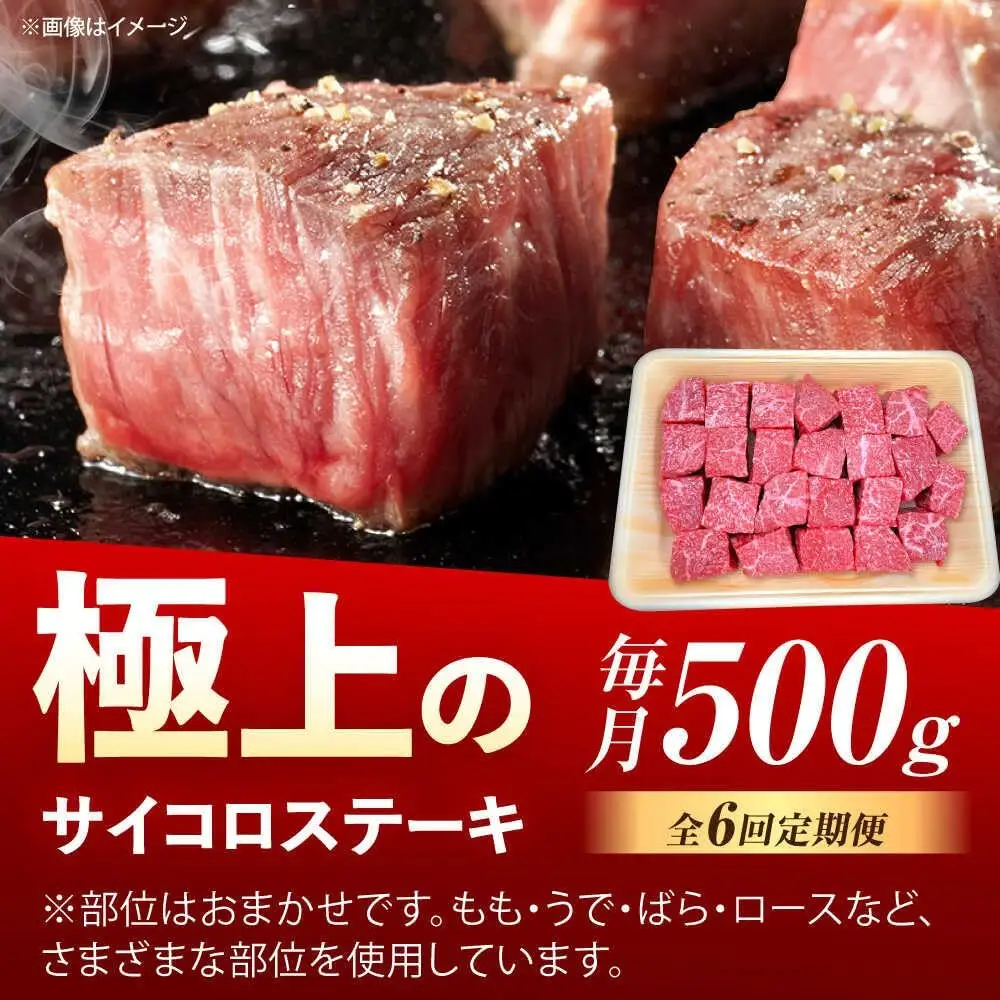 【6回定期便】佐賀牛 サイコロステーキ 500g /MKミート武雄[UEM026] サイコロステーキ