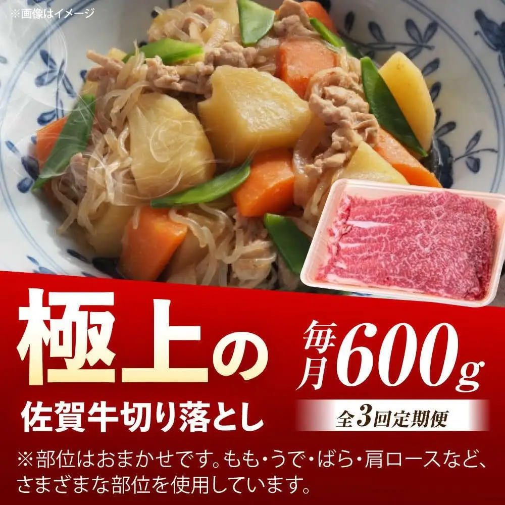 【3回定期便】佐賀牛 切り落とし 600g /MKミート武雄[UEM031] 切り落とし