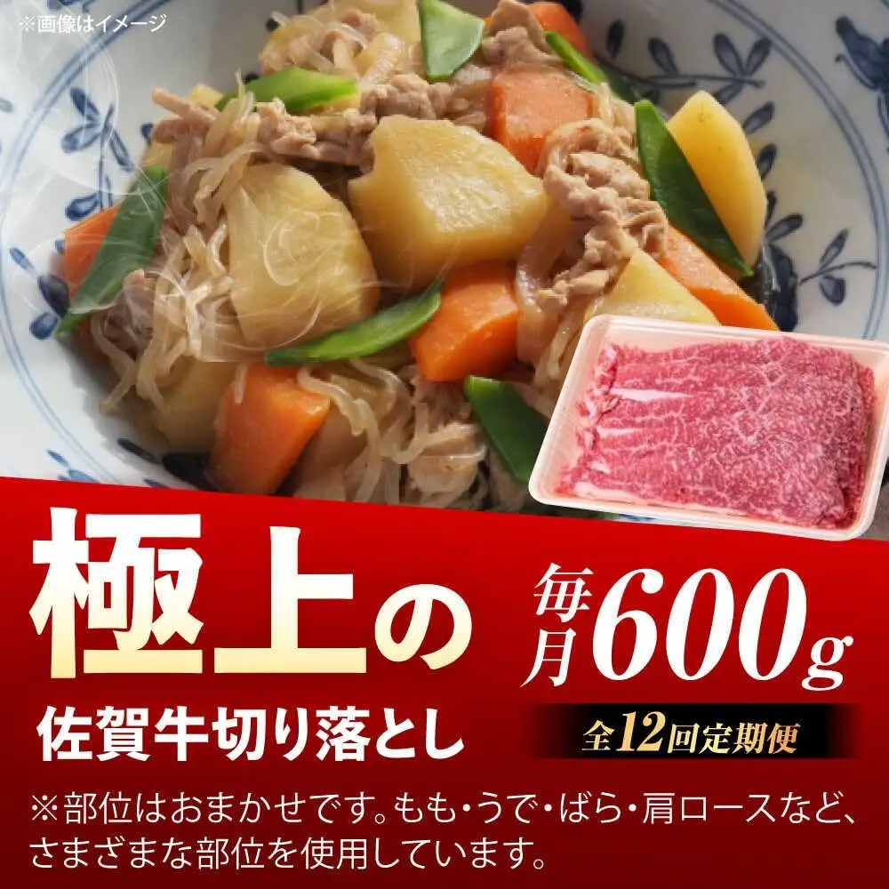 【12回定期便】佐賀牛 切り落とし 600g /MKミート武雄[UEM033] 佐賀牛 切り落とし