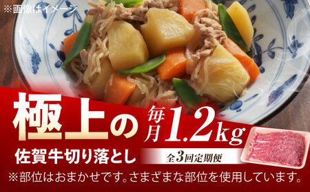 【3回定期便】佐賀牛 切り落とし 1.2kg /MKミート武雄[UEM035] 牛肉 切り落とし