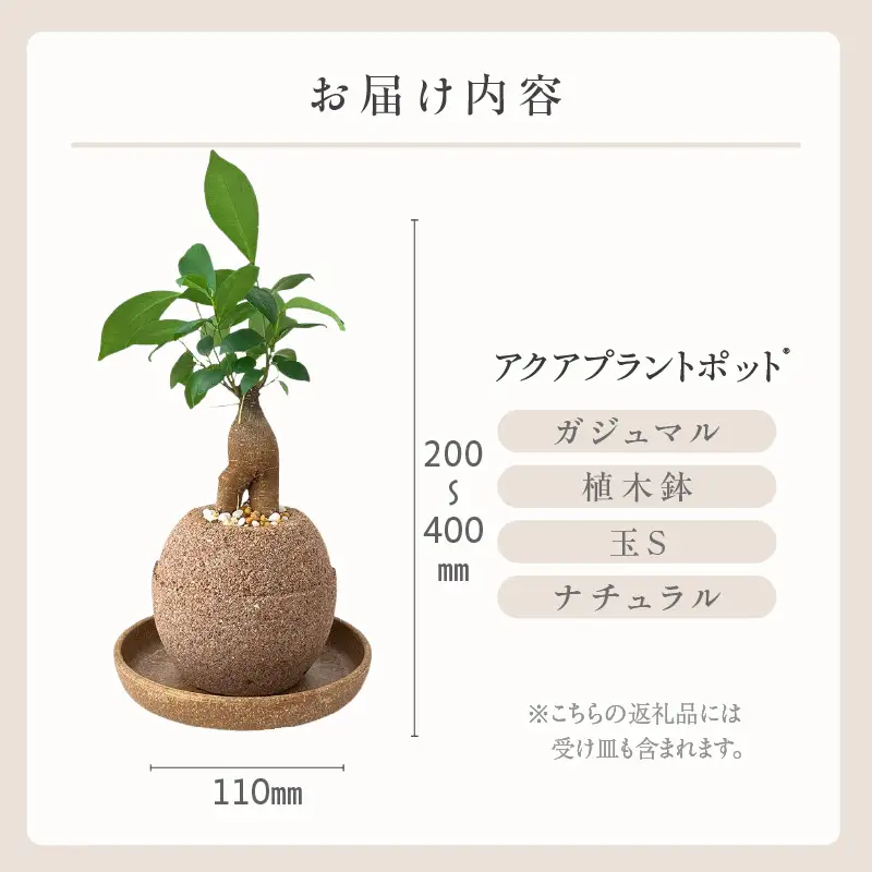 【ふるなびWEEK対象】アクアプラントポット®　玉Ｓ 植木鉢ガジュマル FN-Limited-PR（2341）