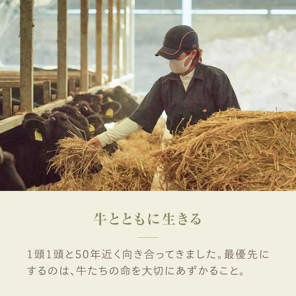 ローストビーフ250g（自家製マスタード付き） / チャーシュー [41ASAA308]