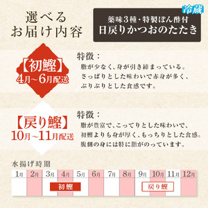 日戻りかつおのたたき 戻り鰹（2～3節 約550g）薬味３種・特製ぽん酢付 【R01459】