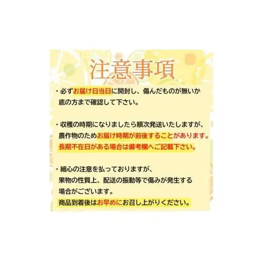 秀逸 浦ノ内ポンカン ぽんかん 5kg