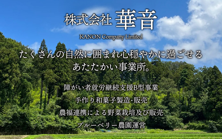 石川県産米で作った割れかき餅 60g入り袋×6袋セット / お菓子