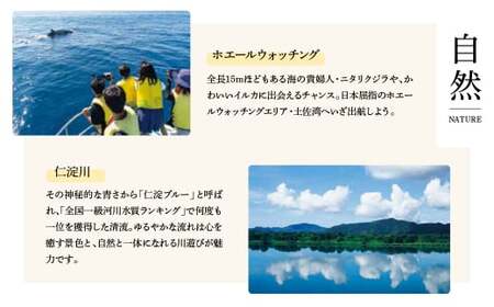 プラスSABA しょうゆ 10本セット 高知県土佐市 【有限会社　吉永鰹節店】 [BQAV023]