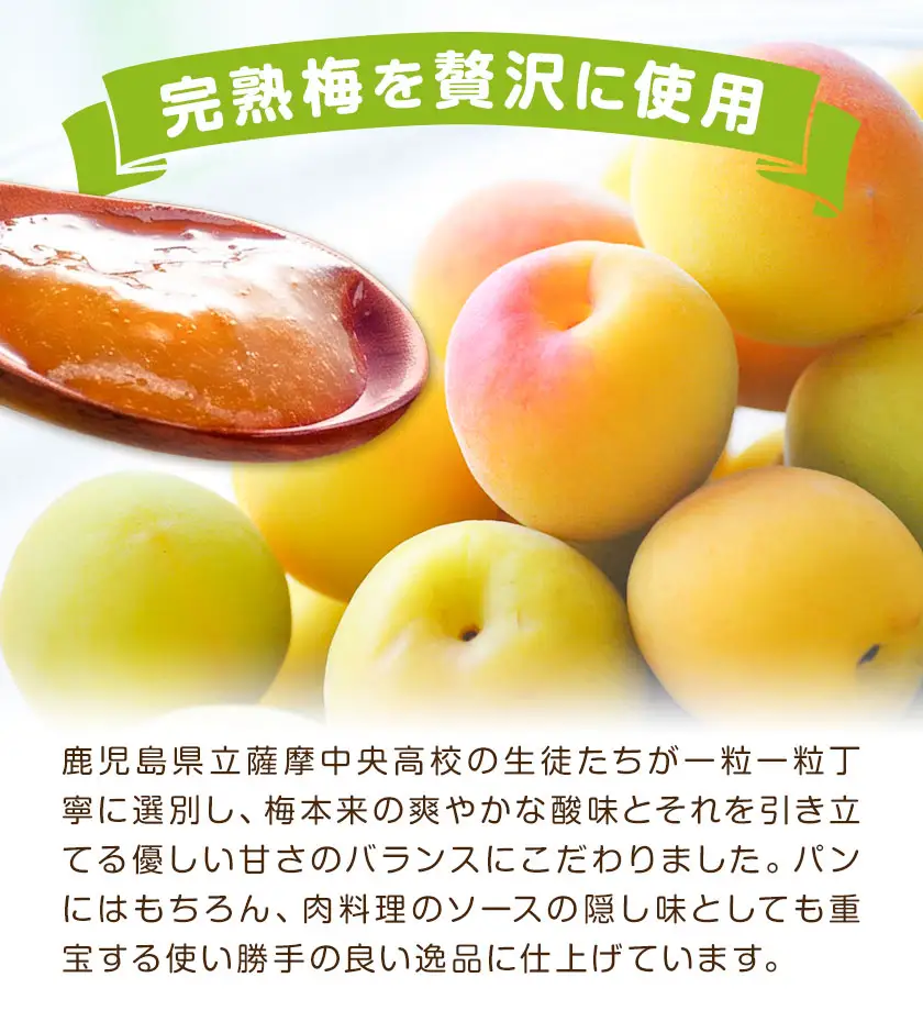 ジャム セット いちご キンカン マーマレード うめ 3種セット 薩摩中央高校特製 計9個 (150g×各種3個ずつ) さつま町観光特産品協会《30日以内に出荷予定(土日祝除く)》鹿児島県 さつま町 高校生 ご当地グルメ お取り寄せ イチゴジャム 金柑 梅 加工品
