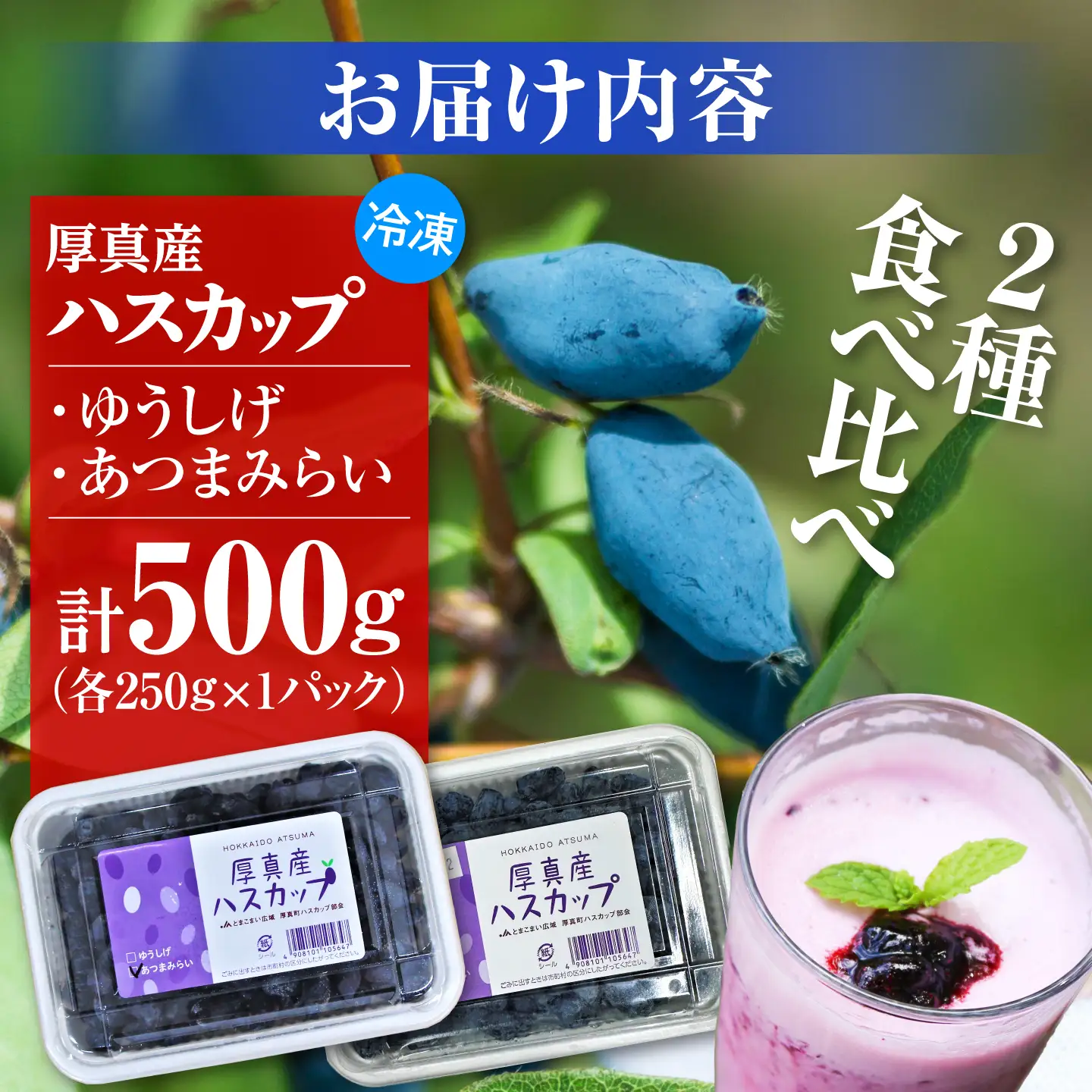 冷凍 ハスカップ 計500g [AXAB085] ハスカップ
