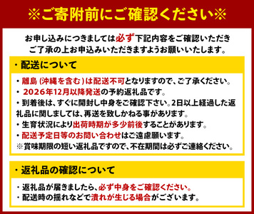 いちご あまおう【26年12月以降順次発送予定】計1kg 250g×4P |イチゴ エフビーネット as47-002