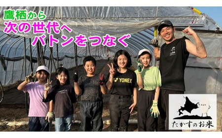 【6ヶ月定期便】【令和8年産】 ゆめぴりか（無洗米）真空パック 約5kg（約5kg×1袋）【2026年10月上旬~2027年9月下旬頃迄発送予定】　合計30kg 北海道 米 を代表する人気の品種 北海道 鷹栖町 たかすのお米 特別栽培米 米 コメ ご飯 精 白米 お米 ゆめぴりか
