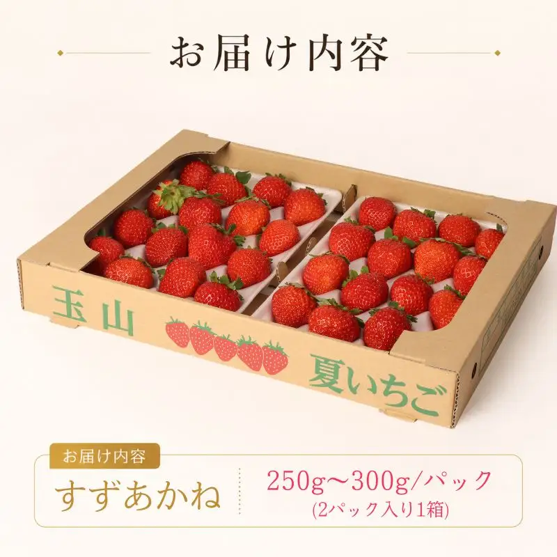【10月31日まで受付！】いちご すずあかね 250g～300g×2パック 盛岡市 玉山うるおいイチゴ園