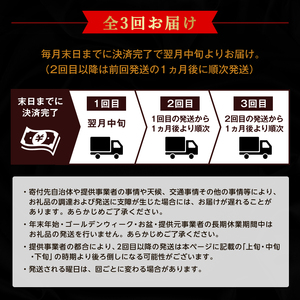 【毎月定期便】黒毛和牛厳選赤身肉定期便(枕崎市) RR-0003 全3回【配送不可地域：離島】【4071894】