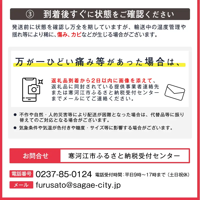 令和8年産 ラ・フランス 3kg 2L-3L 9 - 10玉 道の駅厳選 山形県産 【2026年10月下旬頃から11月下旬頃発送予定】　014-B-CS012