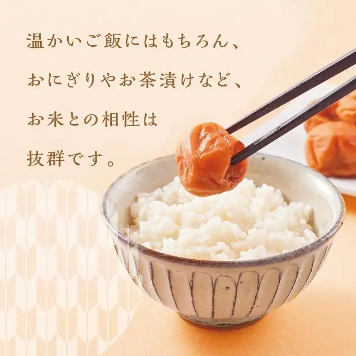 【定期便4回 2ヶ月に1回】紀州南高梅 訳あり はちみつ梅 塩分5％ 1.2kg（300g×4パック）