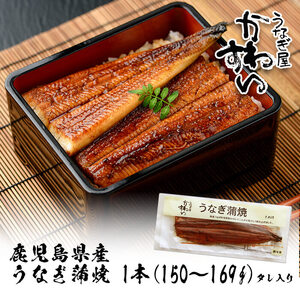 ＜うなぎ屋かわすい＞鹿児島県産 国産 うなぎ 蒲焼 タレ 鰻 うな重 かばやき 1本 150～169g 【川口水産】A853