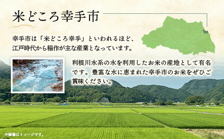 【ふるなび限定】 令和7年産 開運米 つきあかり（無洗米）幸手産 - 5kg×1袋 ５kg 福祉 応援 安心 安全 埼玉県 幸手市 幸手市産【価格改定】 FN-Limited-PR