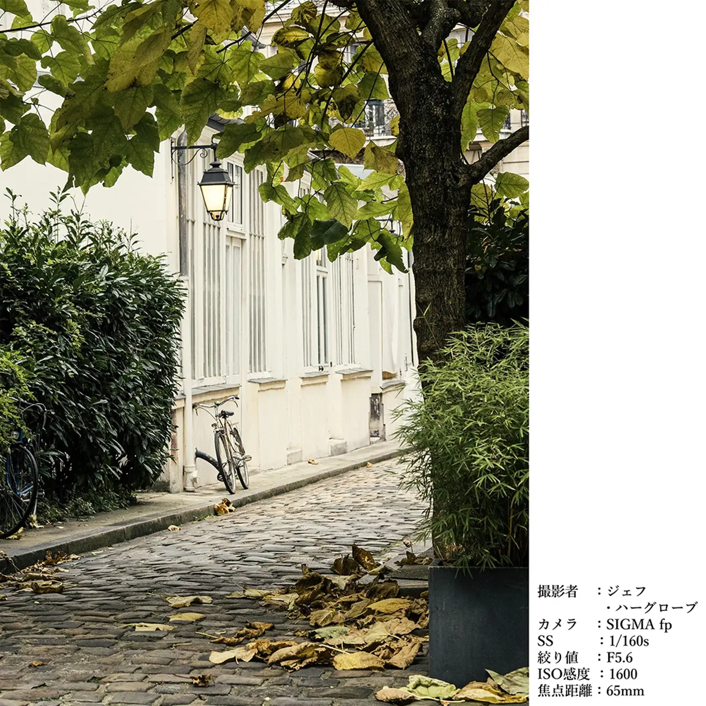 SIGMA 65mm F2 DG | Contemporary【Lマウント】（シルバー）