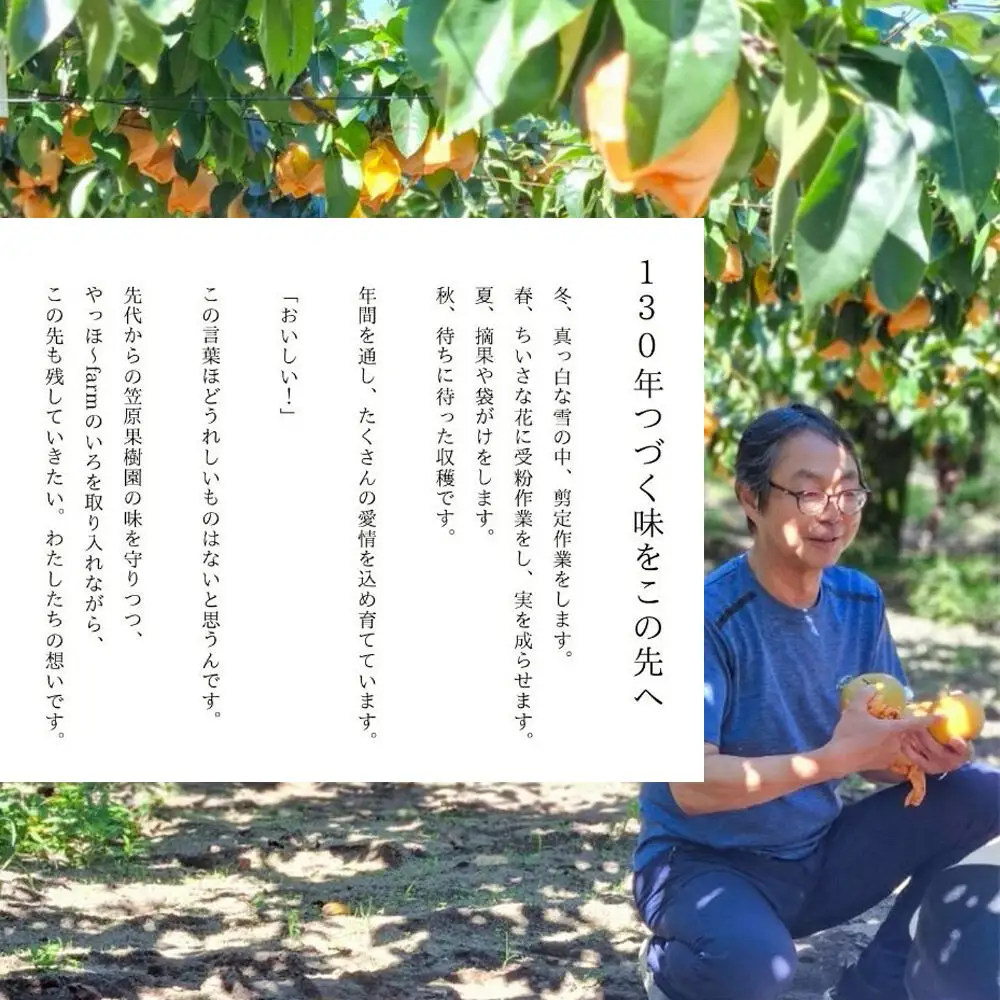 【9月発送 先行受付】梨 幸水 5kg 白神山地の麓 峰浜の梨 笠原果樹園
