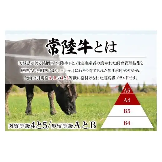 【茨城県共通返礼品】大容量！常陸牛切り落とし 1.5kg（500g×3）【黒毛和牛 国産 銘柄牛 牛肉 肉 冷凍 茨城県産】(81-30)