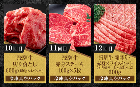 【定期便】全12回 飛騨牛 ざんまい(ステーキ/焼肉/すき焼き/切り落とし/ブロック) | 定期便 MZ106