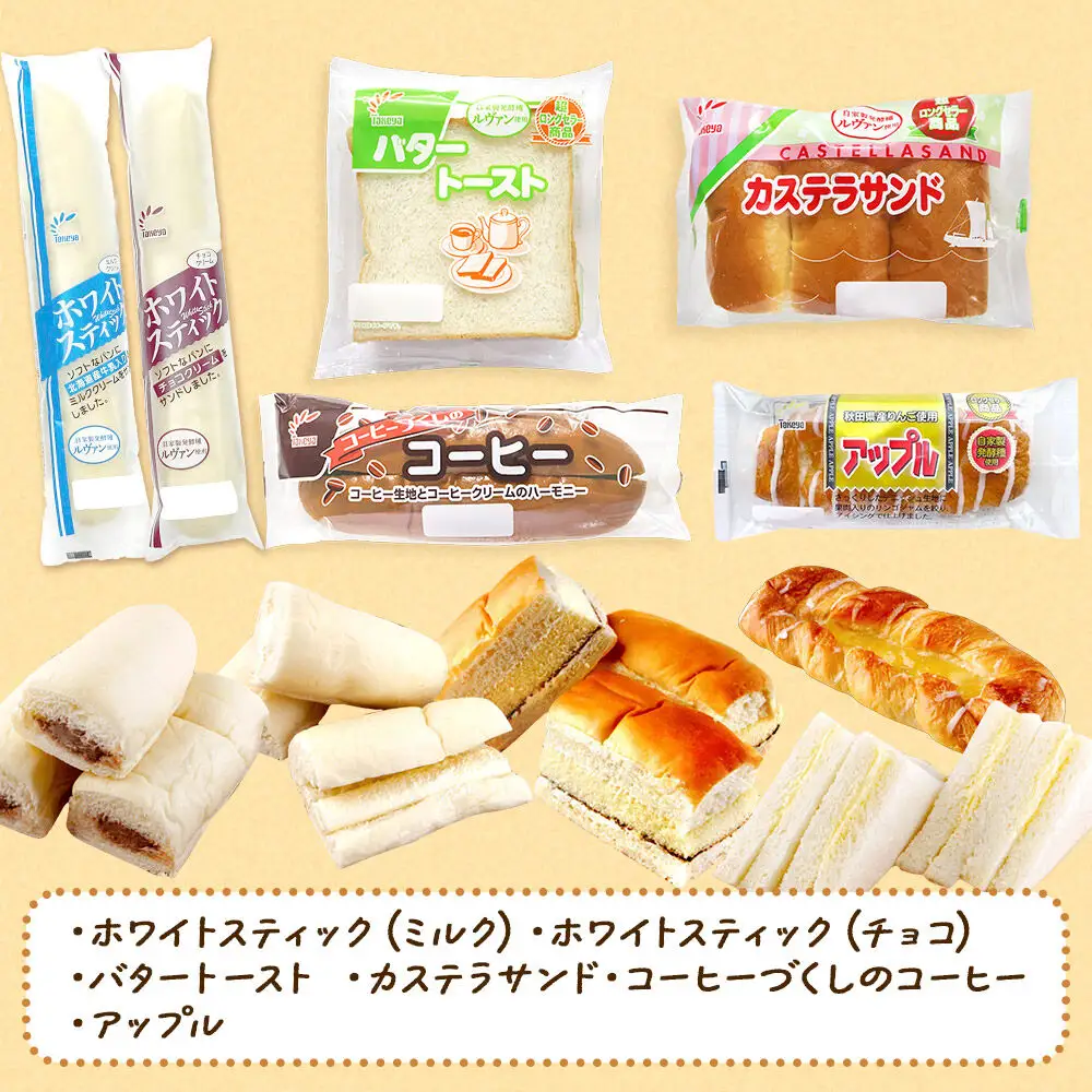 たけや製パン 【定期便2ヶ月】秋田ふるさと満喫セット 10種各1個（合計10個） 菓子パン