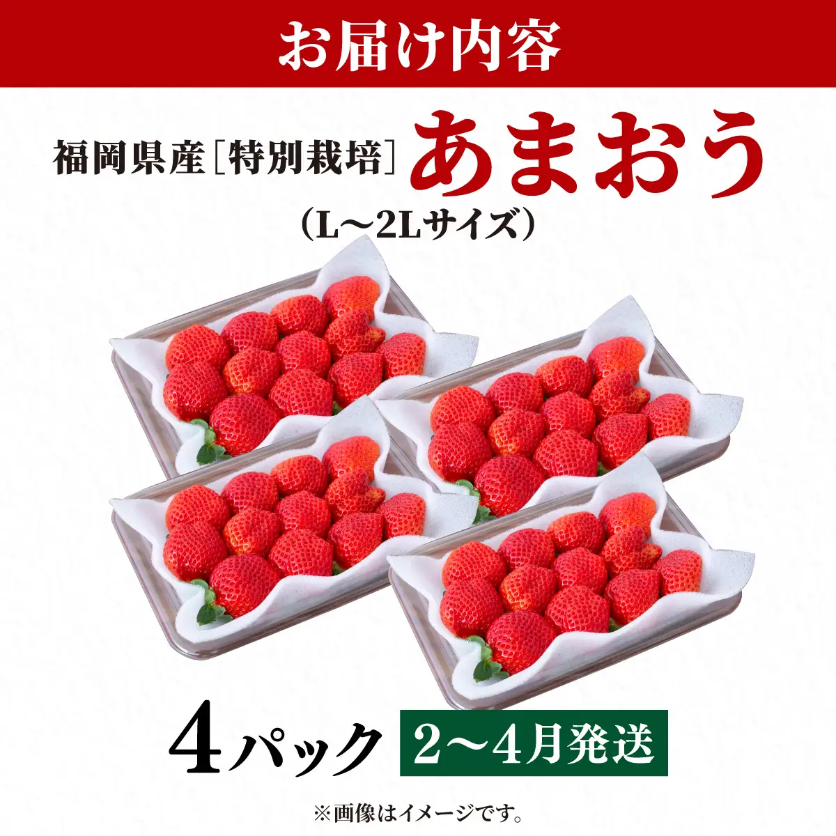 いちご 福岡県産 特別栽培 あまおう L~2Lサイズ（少し小ぶりサイズ）約1140g（約285g×4パック）【2～4月発送】| 農園直送 アフター保証 先行予約 福岡産 送料無料 ケーキ ギフト お祝い 限定 季節限定 UN004