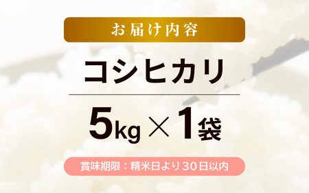 令和7年産 コシヒカリ 5kg (5kg✕1袋) 白米 【こめ お米 こしひかり 白米 5キロ 10キロ 精米 ブランド米 ふるさと納税米】 [m30-a004]