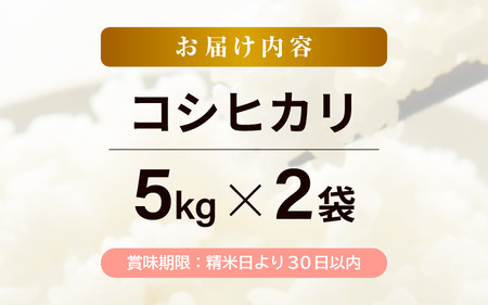 令和7年産 コシヒカリ 10kg（5kg✕2袋） 白米  【こめ お米 こしひかり 白米 5キロ 10キロ 精米 ブランド米 ふるさと納税米】 [m30-b001]