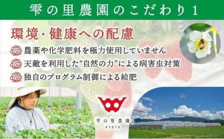 【来シーズン先行予約】【3回定期便】亀岡産いちご 女峰 1箱×3回 イチゴ